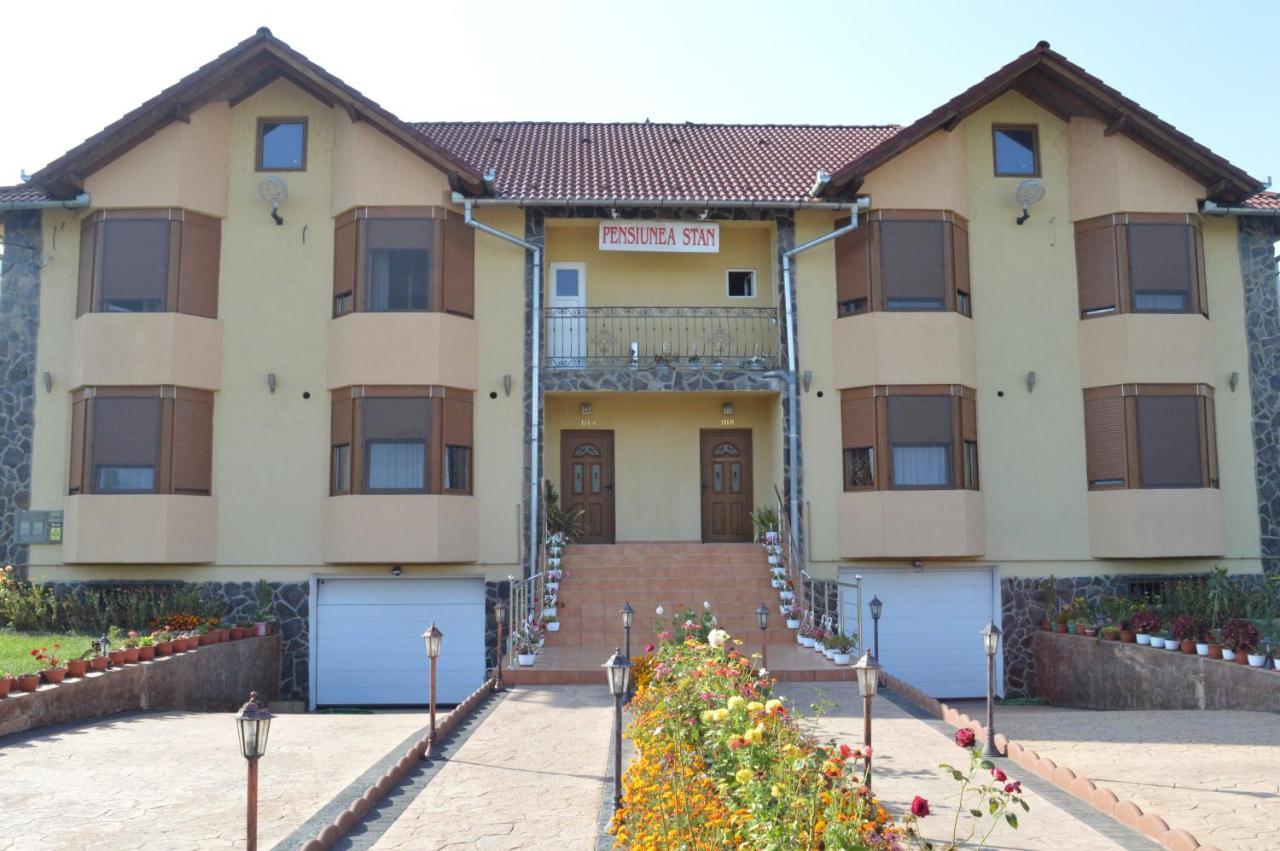 Pensiunea Stan Cisnadie Exterior photo